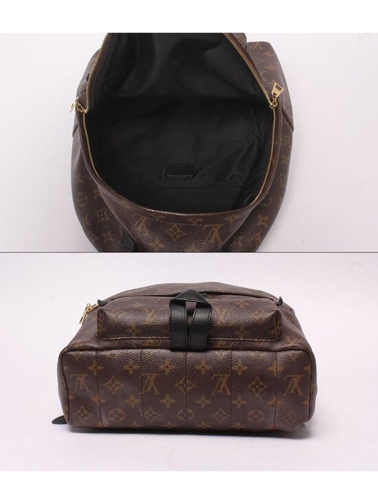 Louis Vuitton Backpack Palm Springs MM Monogram main image 9